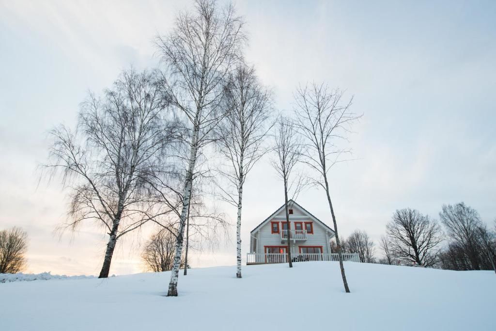 Загородные дома Vasekoja Holiday Center Vahtseliina